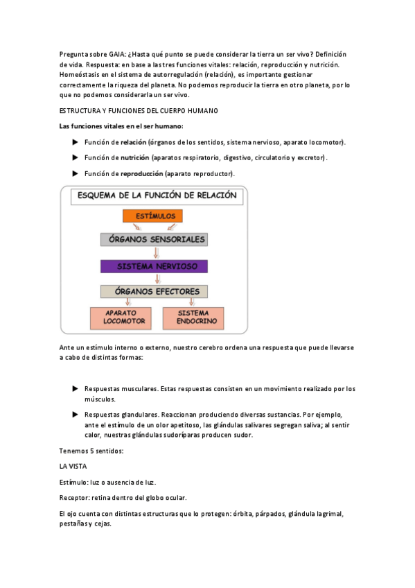 Miniatura del documento EL-SER-HUMANO-Biologia.pdf