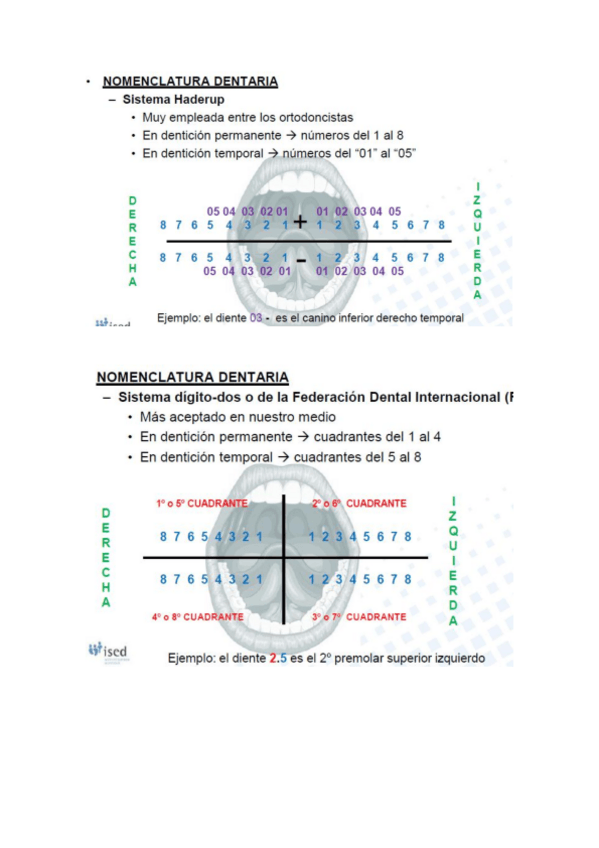 Miniatura del documento sqlxpvSISTEMASFDIETCDENOMENGLATURADENTARIA.pdf