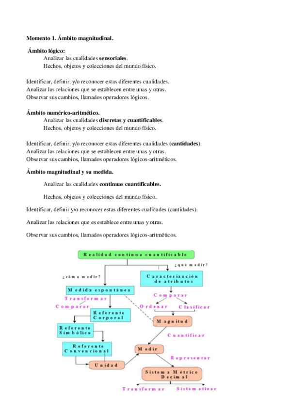 Miniatura del documento Momento 1 ambito magnitudinal RESUMEN.pdf
