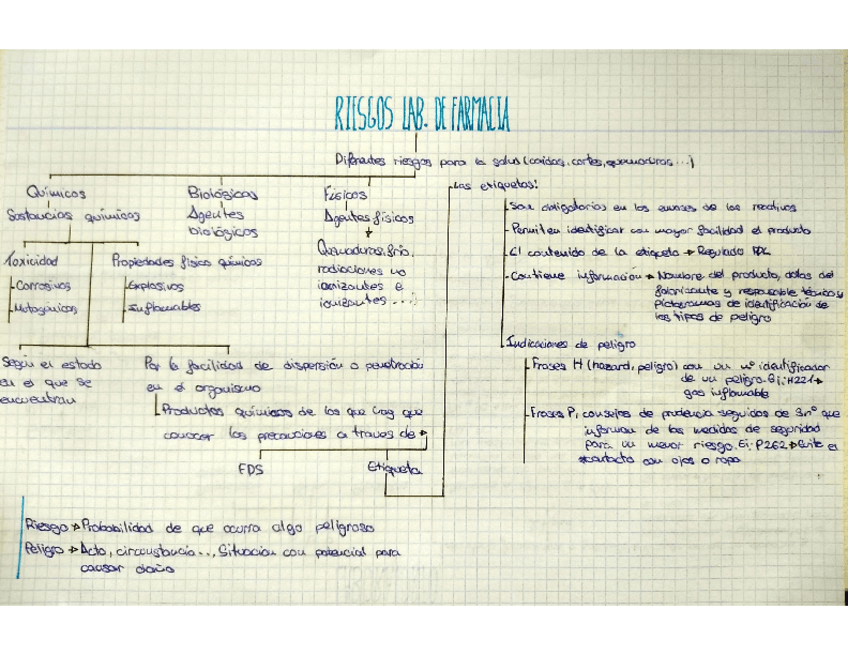 Miniatura del documento esquema-riesgos-lab-de-farmacia-obl.pdf
