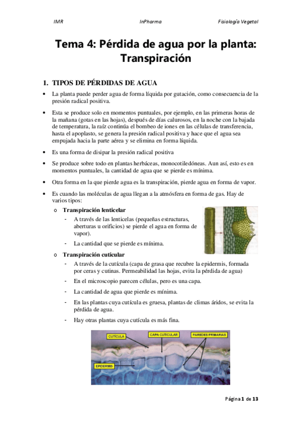 Miniatura del documento Tema-4.pdf