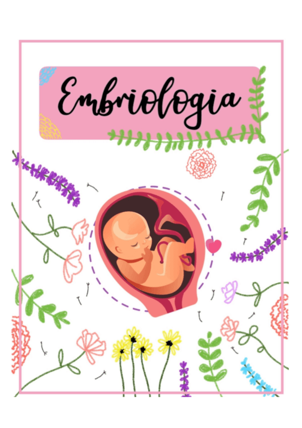 Miniatura del documento APUNTES-EMBRIOLOGIA subrayado importante para exámen.pdf