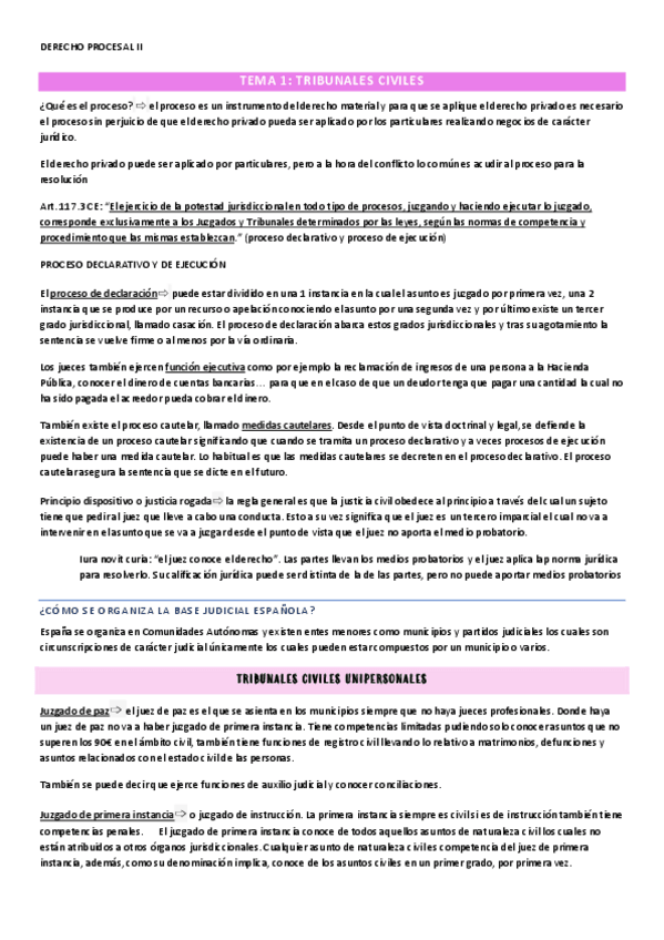 Miniatura del documento TEMA-1-TRIBUNALES-CIVILES.pdf