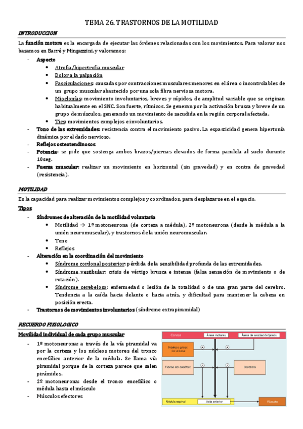 Miniatura del documento tema-26.-trastorno-de-la-motilidad.pdf