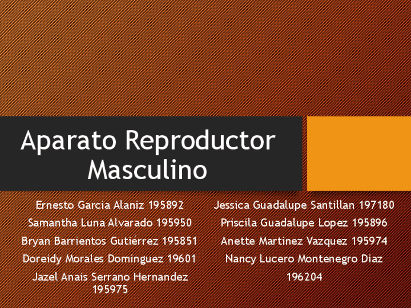 Miniatura del documento Aparato-Masculino.pdf