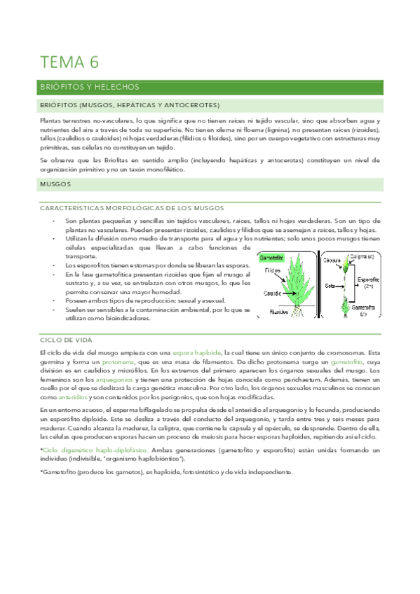 Miniatura del documento Tema-6.pdf