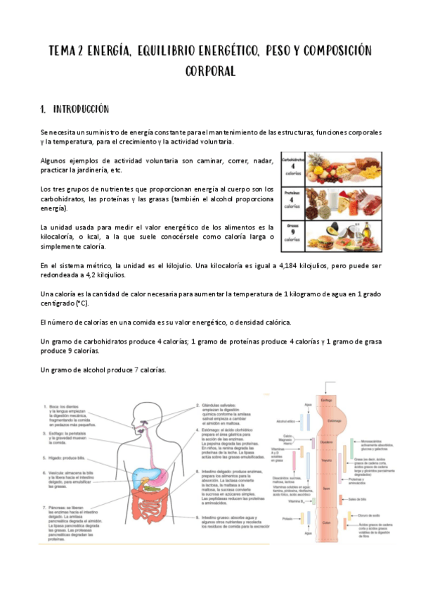 Miniatura del documento tema-2-alimentacion.pdf