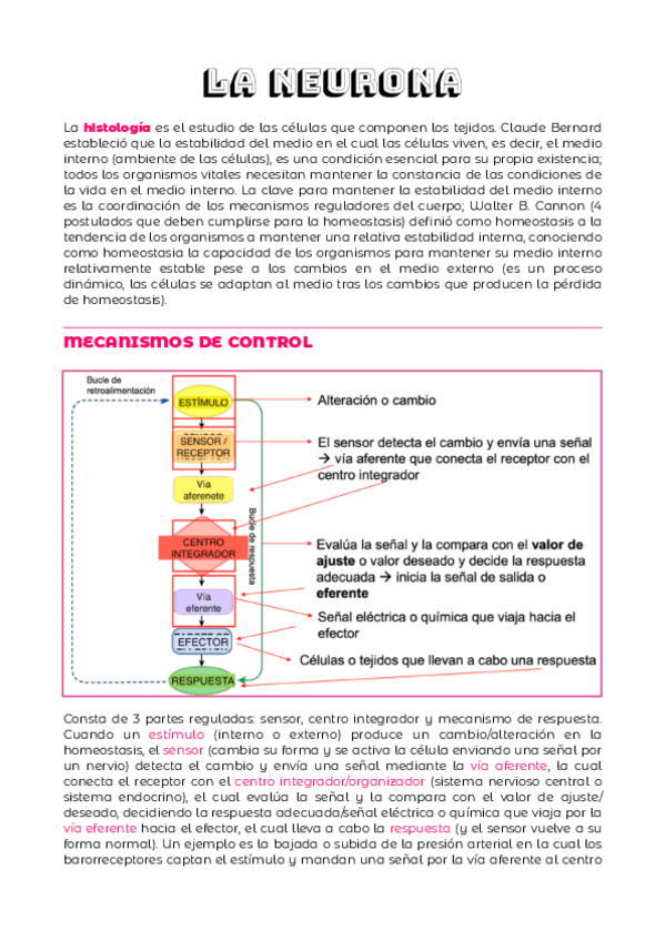 Miniatura del documento TEMA-1.pdf