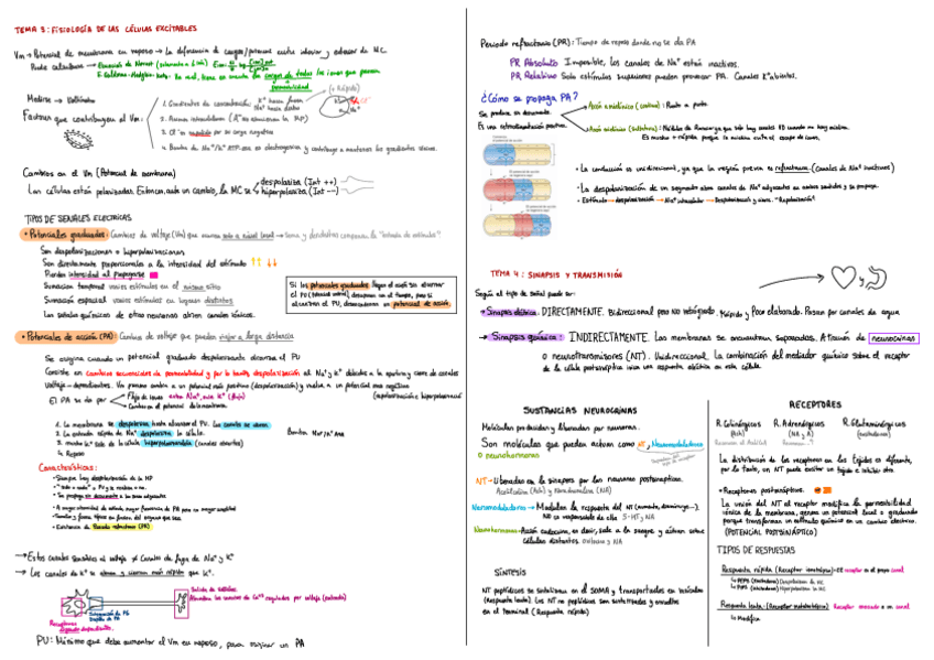 Miniatura del documento Esquema-Fisio-bloque-1.pdf