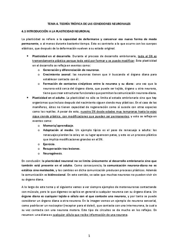 Miniatura del documento Tema-4.-Teoria-trofica-de-las-conexiones-neuronales.pdf