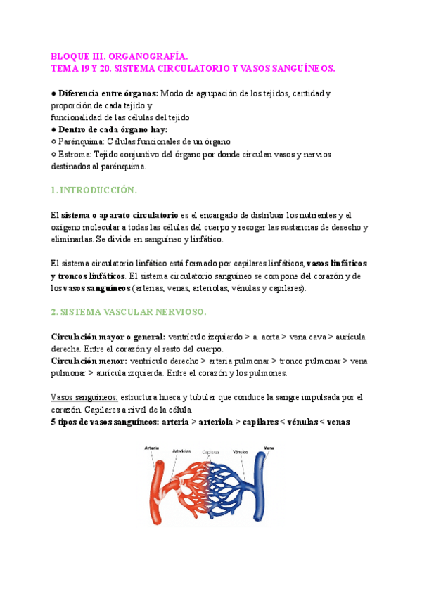 Miniatura del documento biologia-19-25.pdf