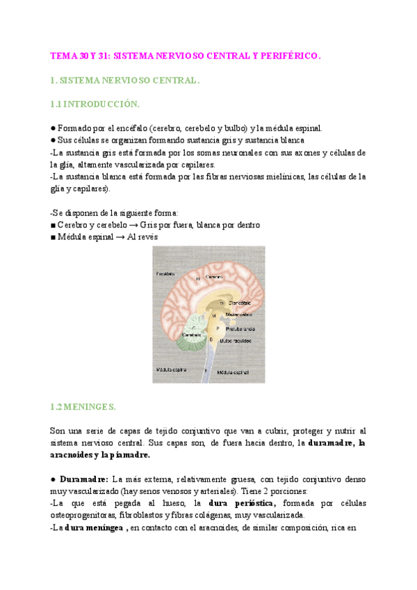 Miniatura del documento biologia-30-33.pdf