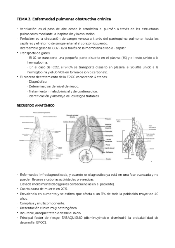 Miniatura del documento T3.pdf