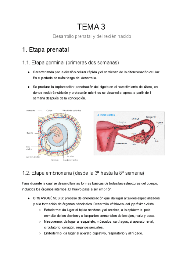 Miniatura del documento TEMA-3.pdf