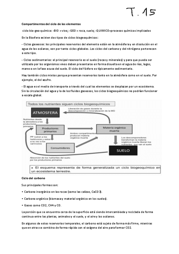 Miniatura del documento ECO-T15.pdf