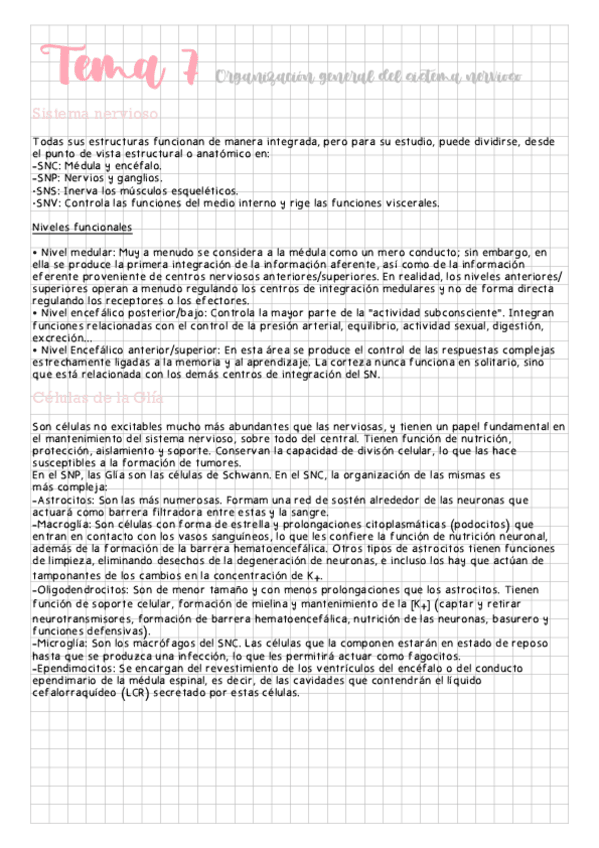 Miniatura del documento Tema-7-Sistema-nervioso.pdf