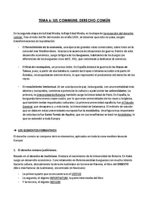 Miniatura del documento TEMA 6 IUS COMMUNE.pdf
