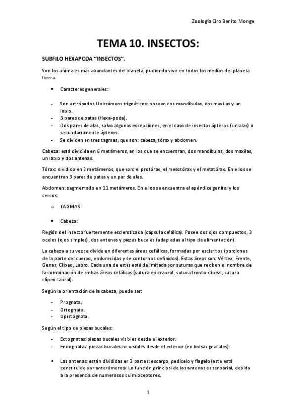 Miniatura del documento TEMA-10-RESUMEN.pdf