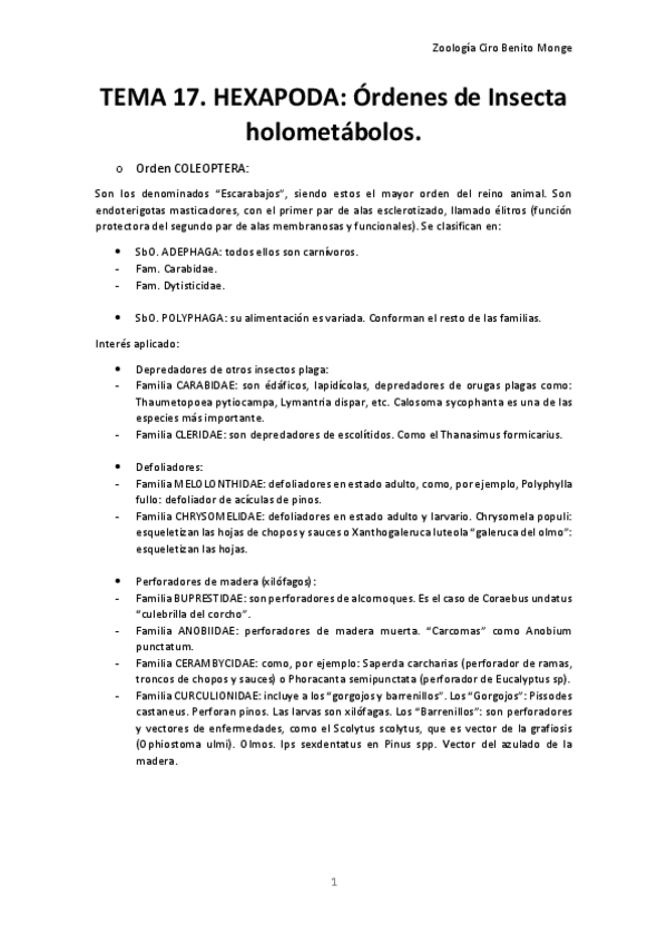 Miniatura del documento TEMA-17-RESUMEN.pdf