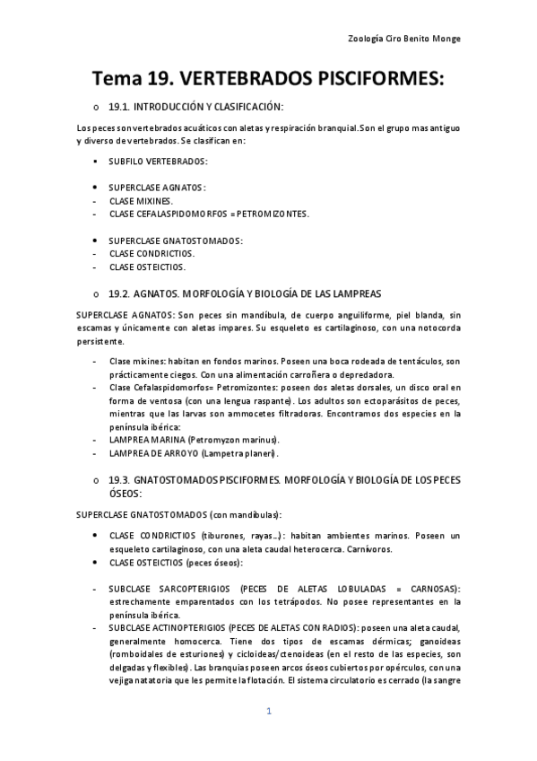 Miniatura del documento Tema-19-RESUMEN.pdf