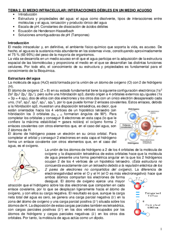 Miniatura del documento apuntes-2021-tema-2-bioquimica.pdf
