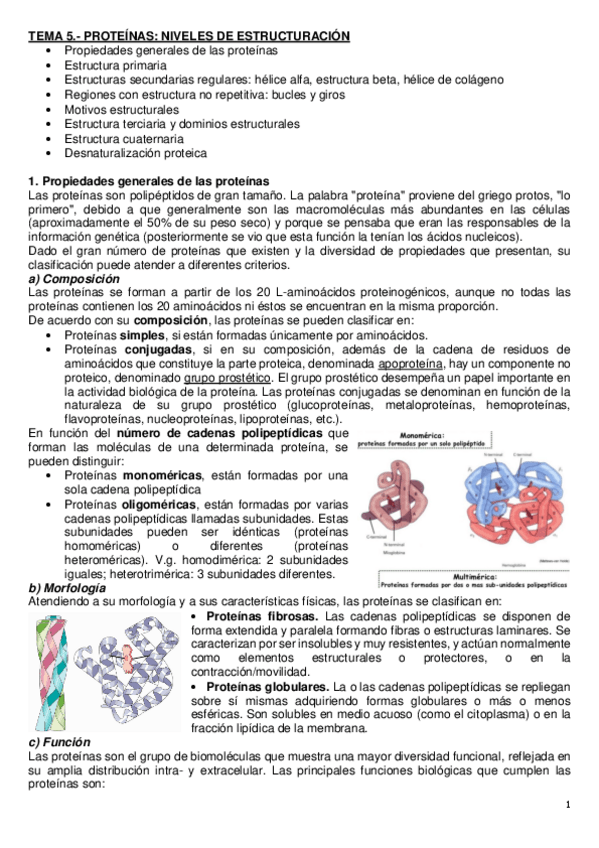 Miniatura del documento tema-5-bioquimica-2021.pdf