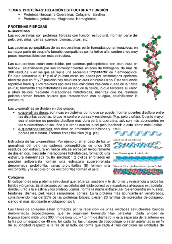 Miniatura del documento tema-6-bioquimica-2021.pdf