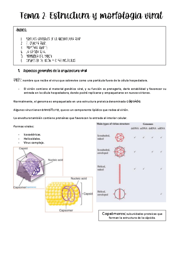 Miniatura del documento tema-2-virologia.pdf