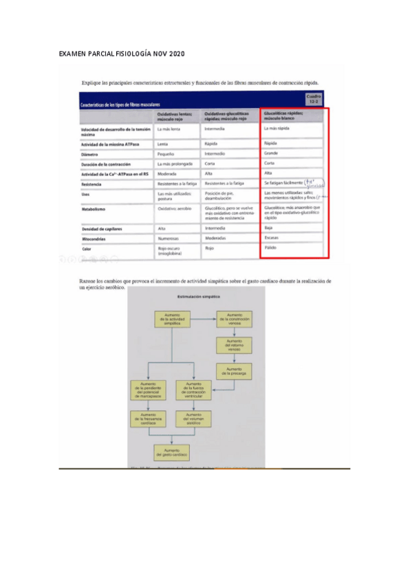 Miniatura del documento EXAMEN-PARCIAL-FISIOLOGIA-NOV-2020.pdf