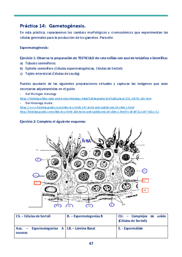 Miniatura del documento 2a-parte-cuaderno.pdf