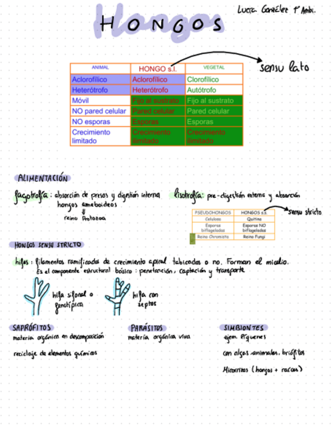 Miniatura del documento Tema-2-Botanica.pdf