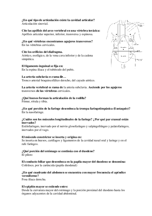 Miniatura del documento Banco de preguntas anatomía.pdf