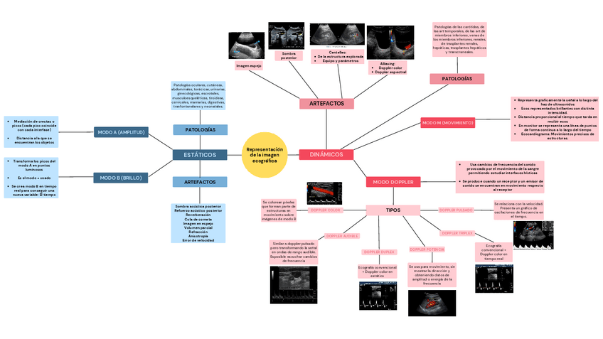 Miniatura del documento Representacion-de-la-imagen-ecografica.pdf