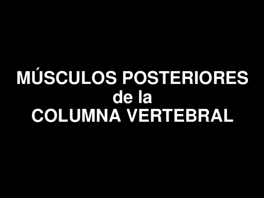 Miniatura del documento 6. Músculos posteriores de la columna vertebral.pdf