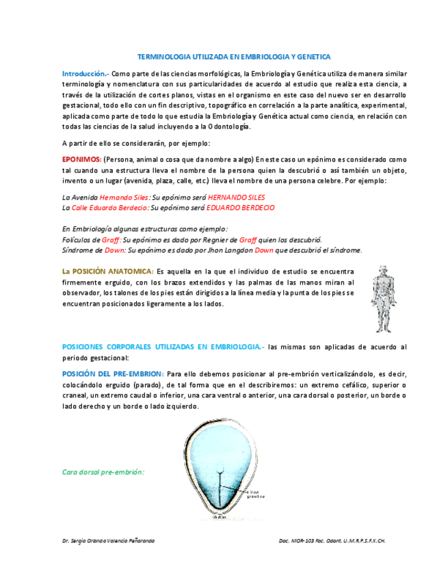 Miniatura del documento TEMA-2-TERMINOLOGIA-EMBRIOLOGICA.pdf