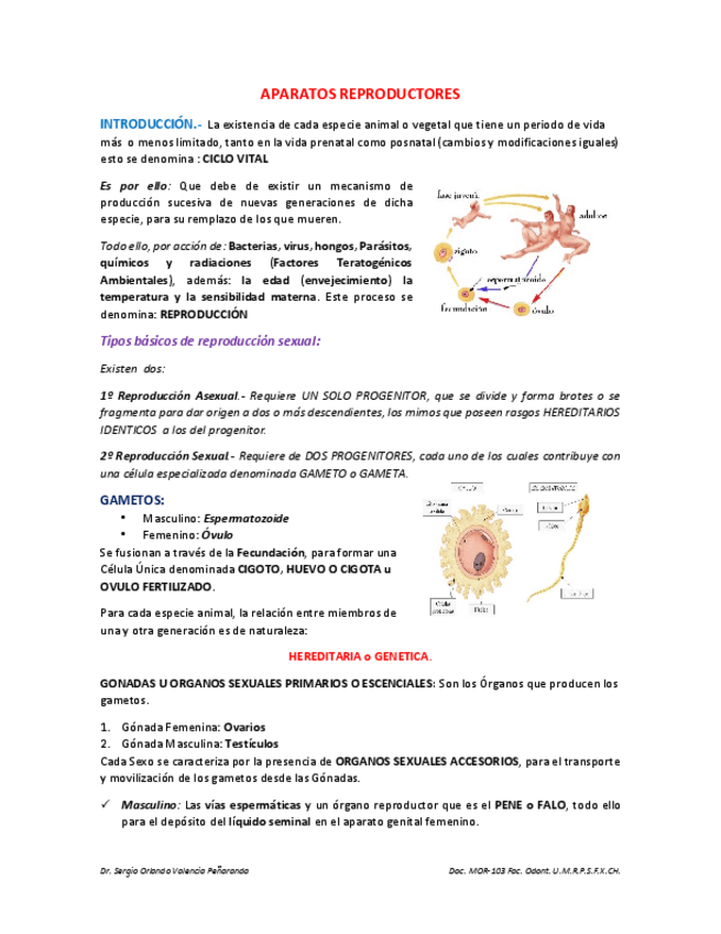 Miniatura del documento TEMA-3-APARATOS-REPRODUCTORES.pdf