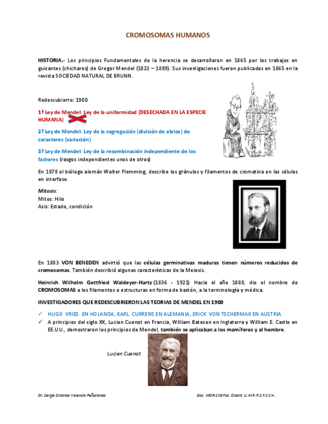 Miniatura del documento TEMA-5-CROMOSOMAS-HUMANOS.pdf