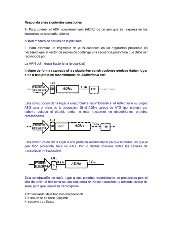 Miniatura del documento Test+preguntas cortas RESUELTAS.pdf