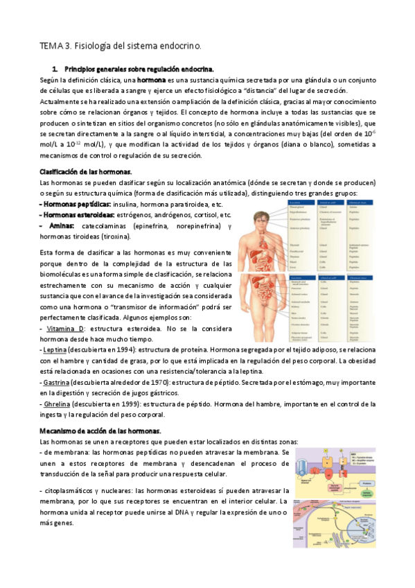 Miniatura del documento TEMA-3.-Fisiologia-del-sistema-endocrino.pdf