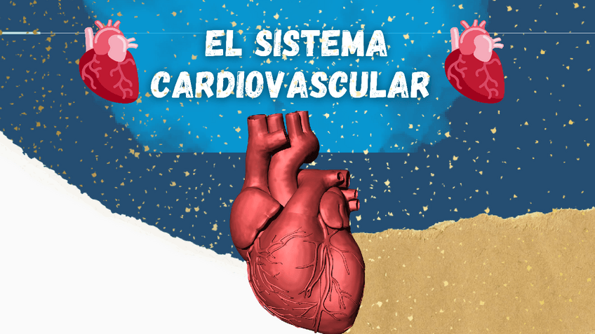 Miniatura del documento El-sistema-cardiovascular.pdf
