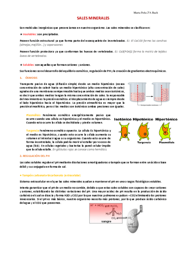 Miniatura del documento Tema-3.-Sales-minerales.pdf