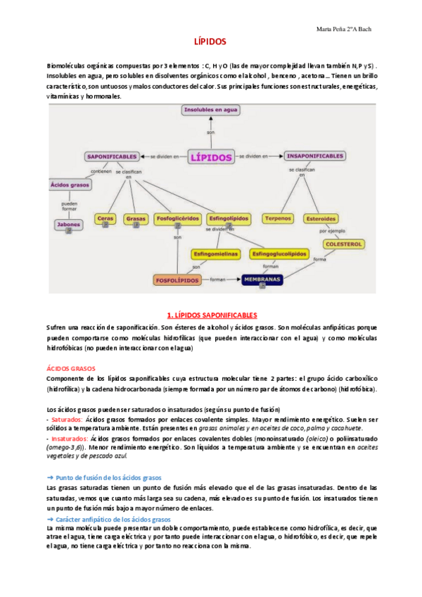 Miniatura del documento Tema-5.-Lipidos.pdf