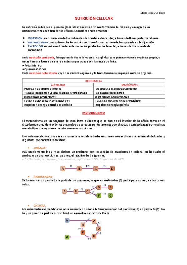 Miniatura del documento Tema-12.-Nutricion-celular.pdf
