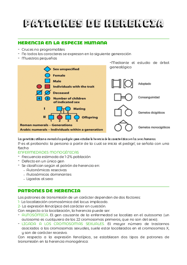 Miniatura del documento TEMA-3.pdf