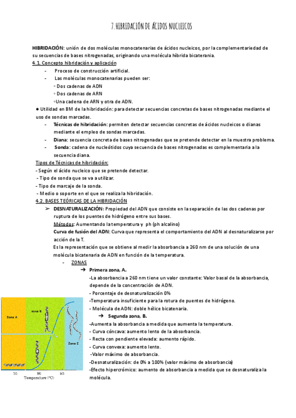Miniatura del documento TEMA-7-HIBRIDACION.pdf