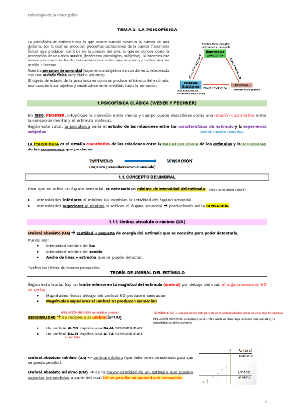 Miniatura del documento TEMA-3.-PSICOFISICA.pdf