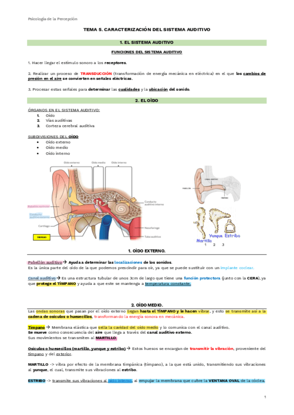 Miniatura del documento TEMA-5.-CARACTERIZACION-DEL-SISTEMA-AUDITIVO.pdf