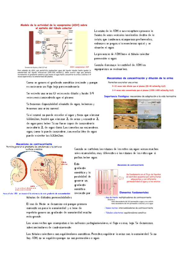 Miniatura del documento clase-tecnologia-tema-12.pdf