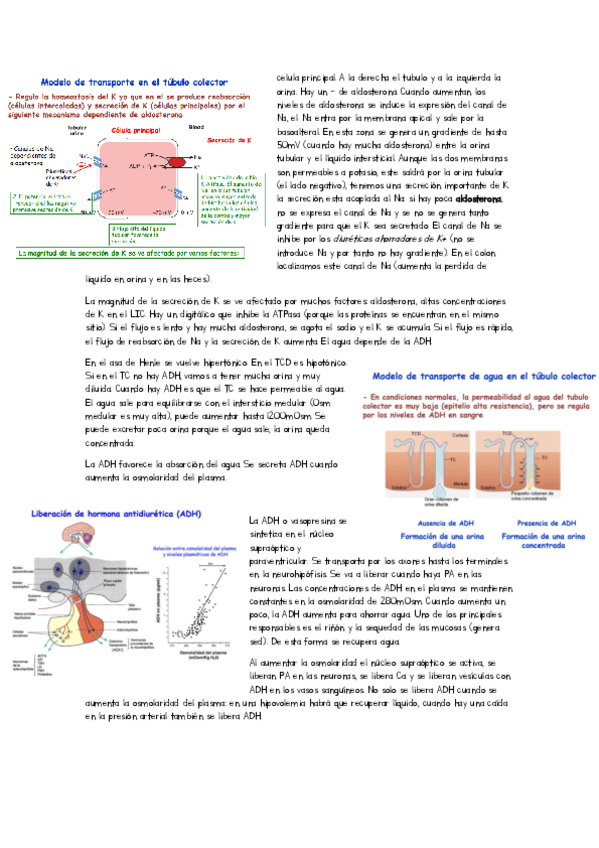 Miniatura del documento apuntes-clase-tema-6.pdf