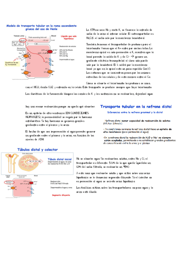 Miniatura del documento apuntes-clase-tema-8.pdf